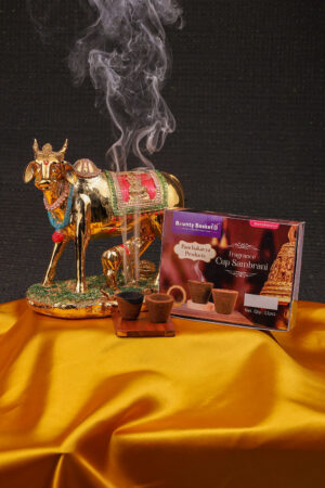 AGNIHOTRA CUP 12 PIECES